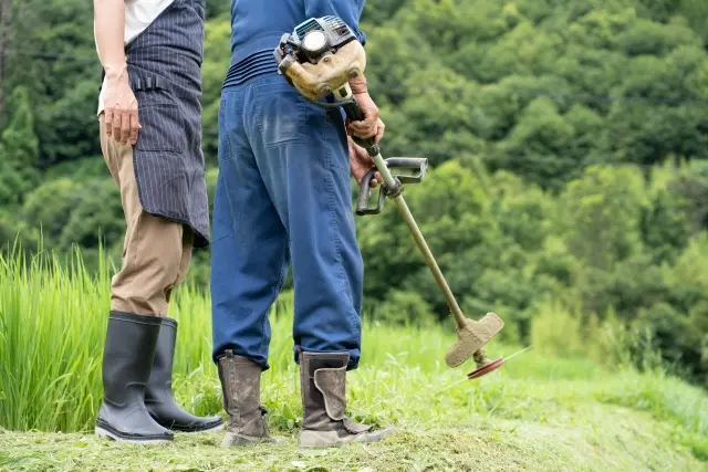 草刈り料金イメージ