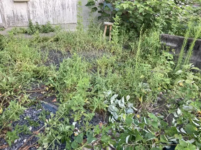 お庭の草むしり実績