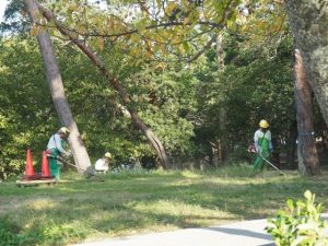 大規模、草刈り作業