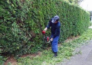 各種作業