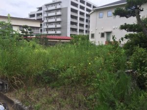 空き地の草刈り