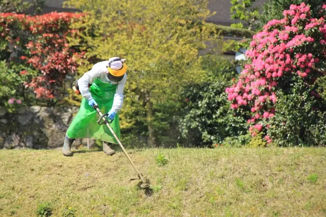 草刈り・除草のメリット