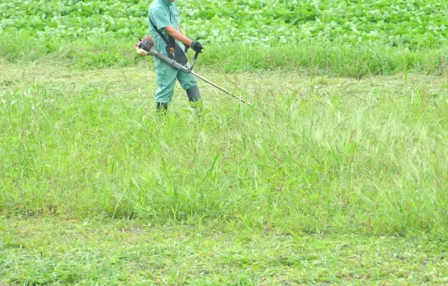 機械刈りと手作業による草刈りの様子