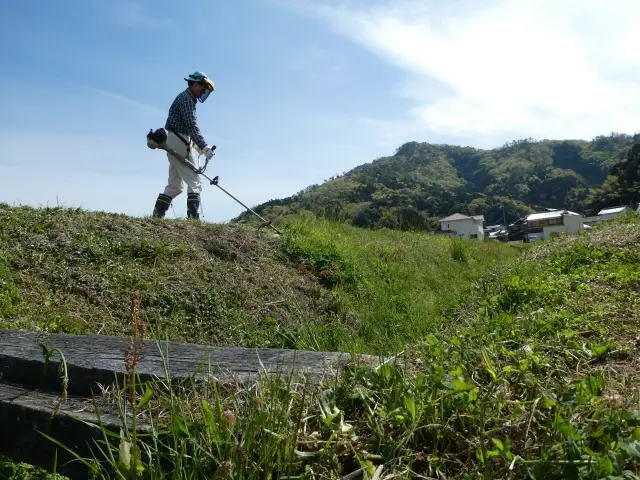 草刈り・芝刈りの様子